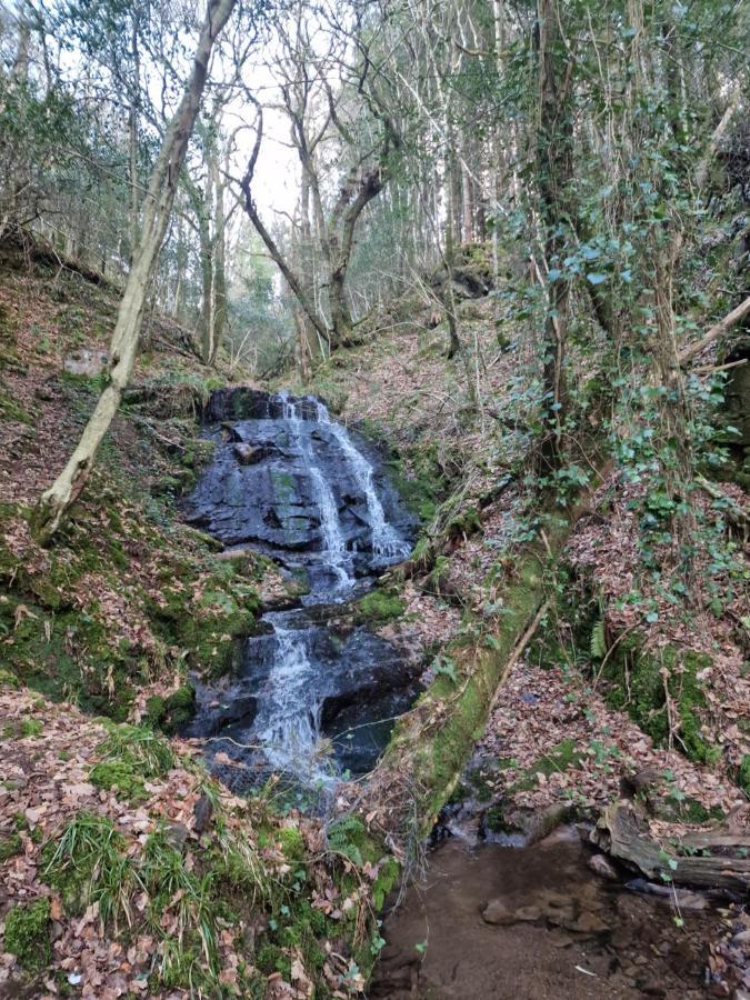 Shadowvale E34x773 Frühstückspension Tipperary